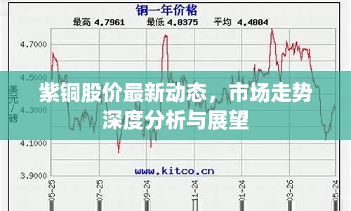 紫铜股价最新动态，市场走势深度分析与展望