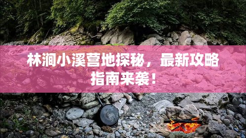 林涧小溪营地探秘，最新攻略指南来袭！