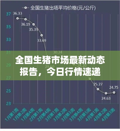 全国生猪市场最新动态报告，今日行情速递