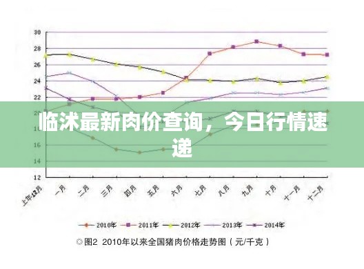 临沭最新肉价查询，今日行情速递