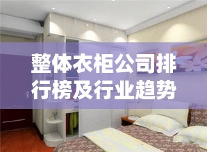 整体衣柜公司排行榜及行业趋势深度解析