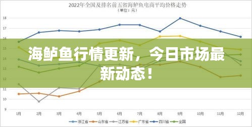 海鲈鱼行情更新，今日市场最新动态！