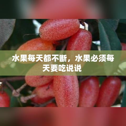 水果每天都不断，水果必须每天要吃说说 