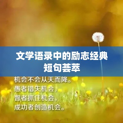 文学语录中的励志经典短句荟萃