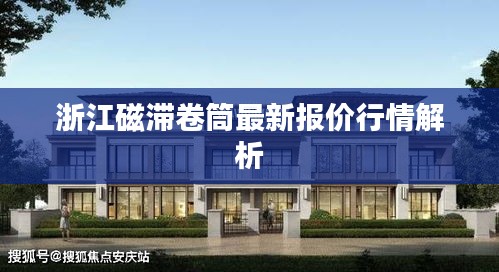 浙江磁滞卷筒最新报价行情解析