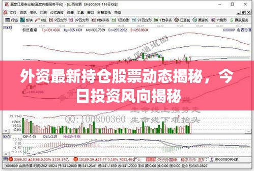 2025年1月28日 第2页