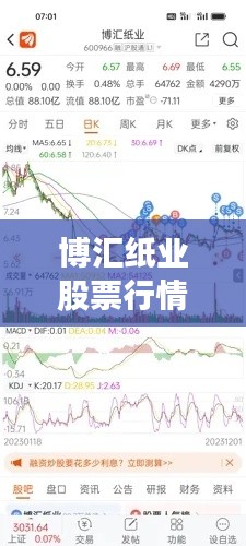 博汇纸业股票行情深度解析