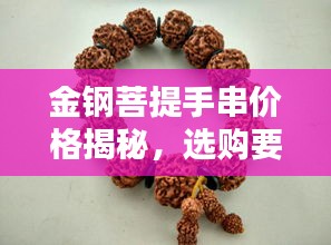 金钢菩提手串价格揭秘，选购要点与价值解析