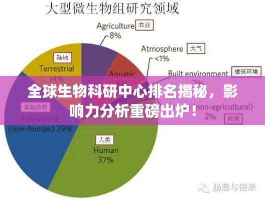 全球生物科研中心排名揭秘，影响力分析重磅出炉！