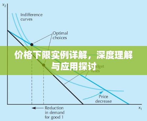 价格下限实例详解，深度理解与应用探讨