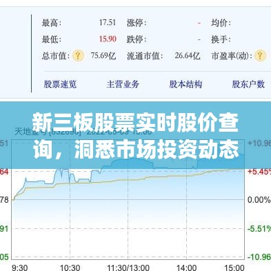 新三板股票实时股价查询，洞悉市场投资动态，把握财富机遇！