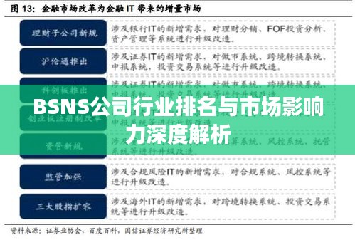 BSNS公司行业排名与市场影响力深度解析