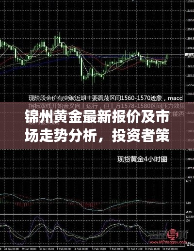 锦州黄金最新报价及市场走势分析，投资者策略指南