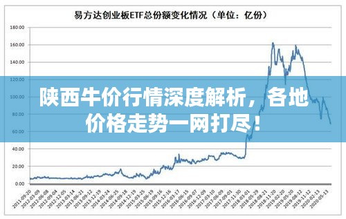 陕西牛价行情深度解析，各地价格走势一网打尽！