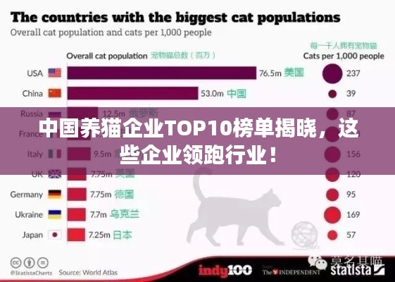 中国养猫企业TOP10榜单揭晓，这些企业领跑行业！