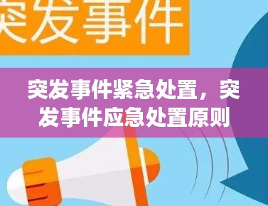 突发事件紧急处置，突发事件应急处置原则是什么 