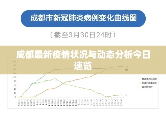 成都最新疫情状况与动态分析今日速览