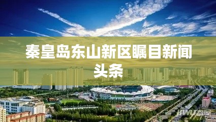 秦皇岛东山新区瞩目新闻头条