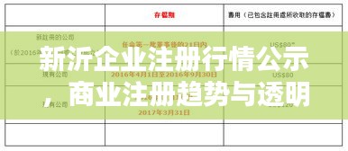 新沂企业注册行情公示，商业注册趋势与透明度深度解读