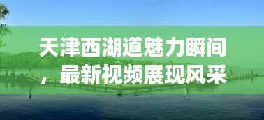 天津西湖道魅力瞬间，最新视频展现风采