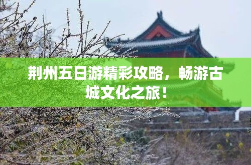 荆州五日游精彩攻略，畅游古城文化之旅！