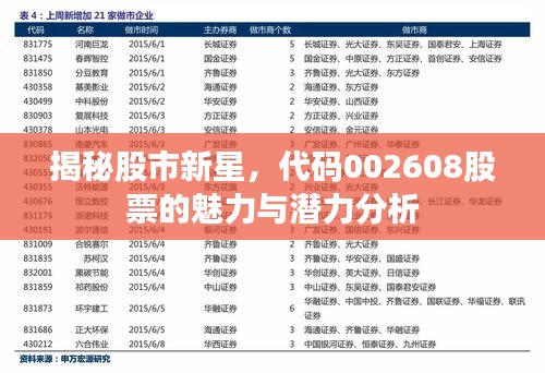 揭秘股市新星，代码002608股票的魅力与潜力分析