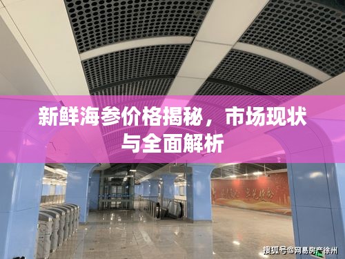 新鲜海参价格揭秘，市场现状与全面解析