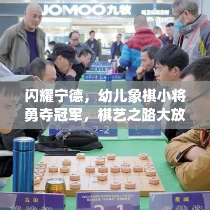 闪耀宁德，幼儿象棋小将勇夺冠军，棋艺之路大放异彩