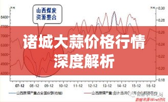 诸城大蒜价格行情深度解析