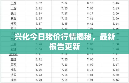 兴化今日猪价行情揭秘，最新报告更新