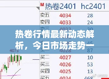 热卷行情最新动态解析，今日市场走势一网打尽