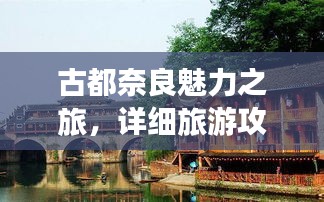 古都奈良魅力之旅，详细旅游攻略视频探索奈良之美