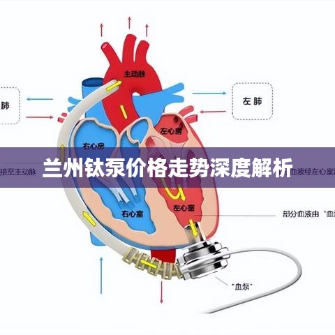 兰州钛泵价格走势深度解析