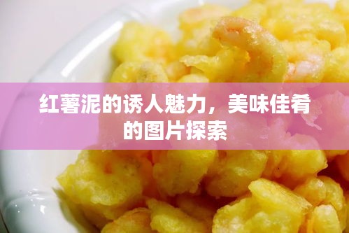 红薯泥的诱人魅力，美味佳肴的图片探索