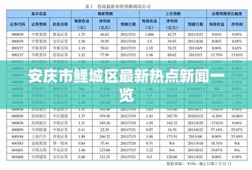 安庆市鲤城区最新热点新闻一览