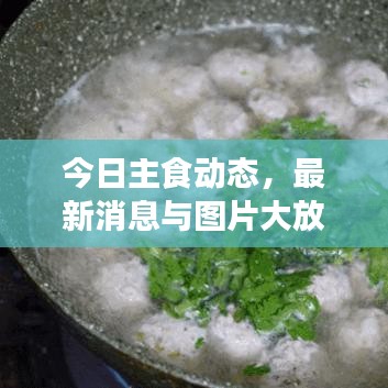 今日主食动态，最新消息与图片大放送！