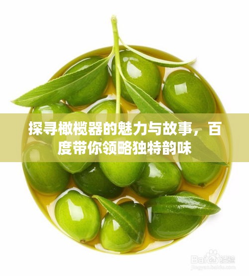 探寻橄榄器的魅力与故事，百度带你领略独特韵味