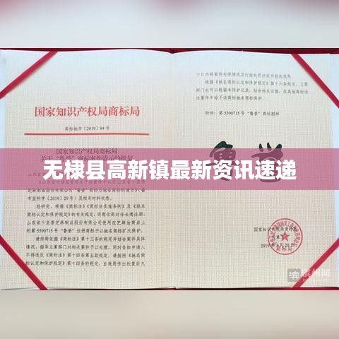 无棣县高新镇最新资讯速递