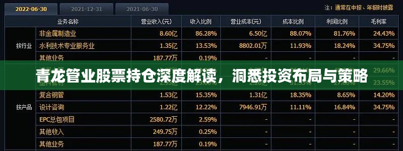 青龙管业股票持仓深度解读，洞悉投资布局与策略