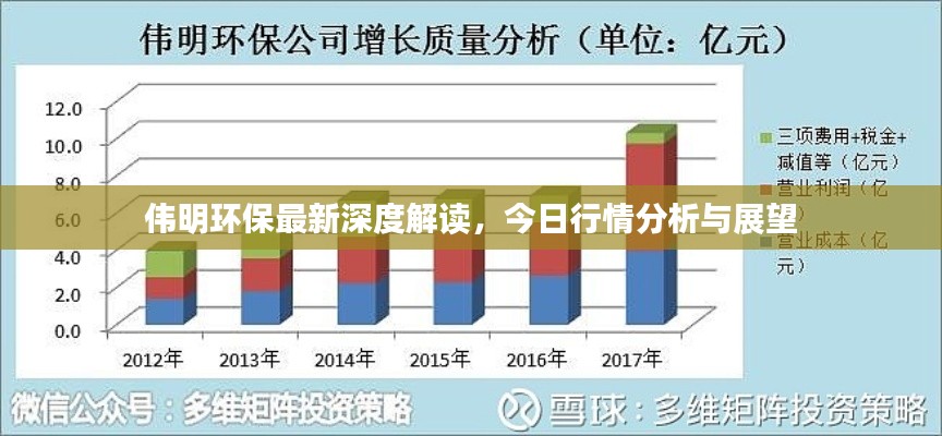 伟明环保最新深度解读，今日行情分析与展望