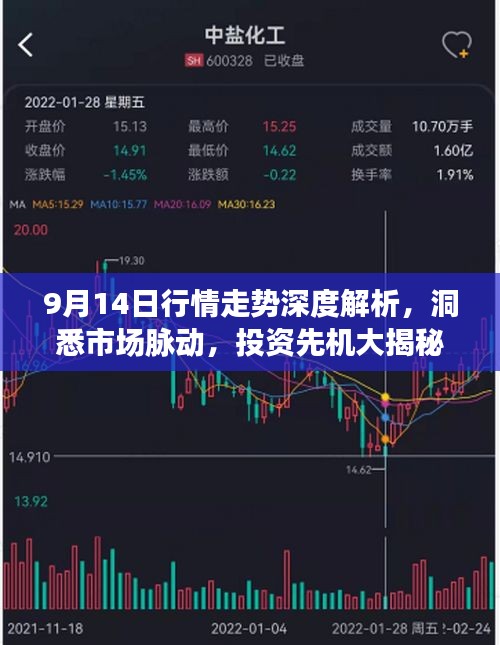 9月14日行情走势深度解析，洞悉市场脉动，投资先机大揭秘