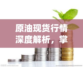 原油现货行情深度解析，掌握市场动态，洞悉投资机遇！