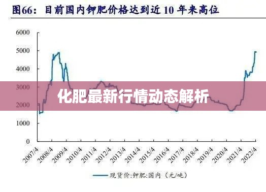 化肥最新行情动态解析