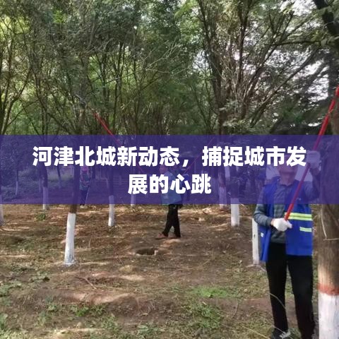 河津北城新动态，捕捉城市发展的心跳