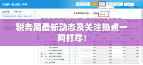 税务局最新动态及关注热点一网打尽！