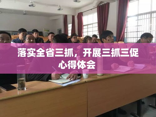 落实全省三抓，开展三抓三促心得体会 