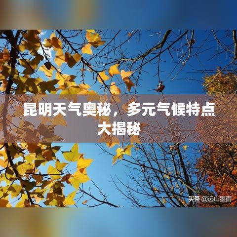 昆明天气奥秘，多元气候特点大揭秘