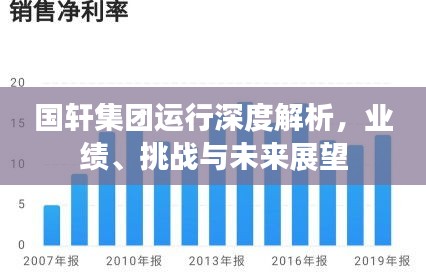 国轩集团运行深度解析，业绩、挑战与未来展望