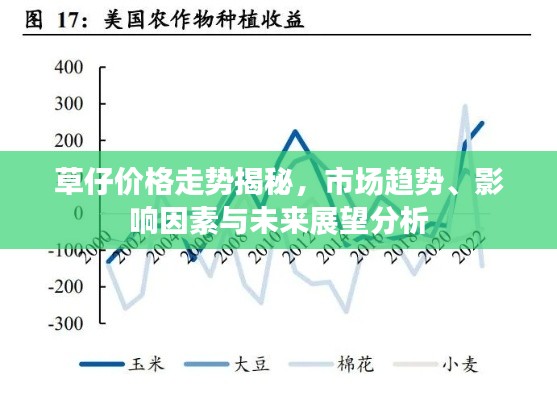 草仔价格走势揭秘，市场趋势、影响因素与未来展望分析