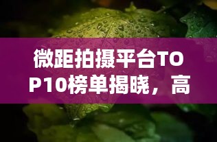 微距拍摄平台TOP10榜单揭晓，高清晰度下的视觉盛宴！